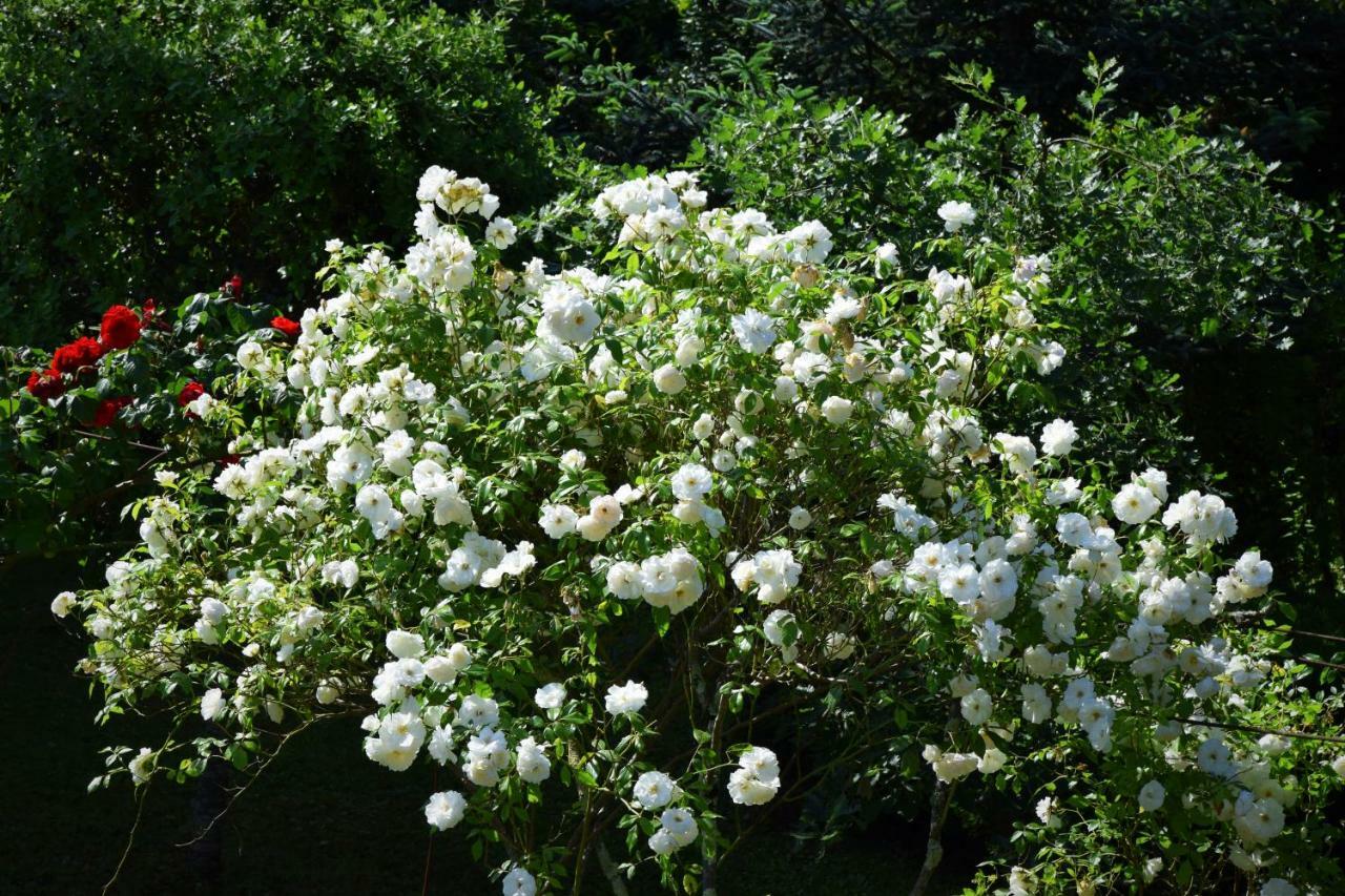 L'Intemporelle B&B Le Buisson-de-Cadouin Exterior photo